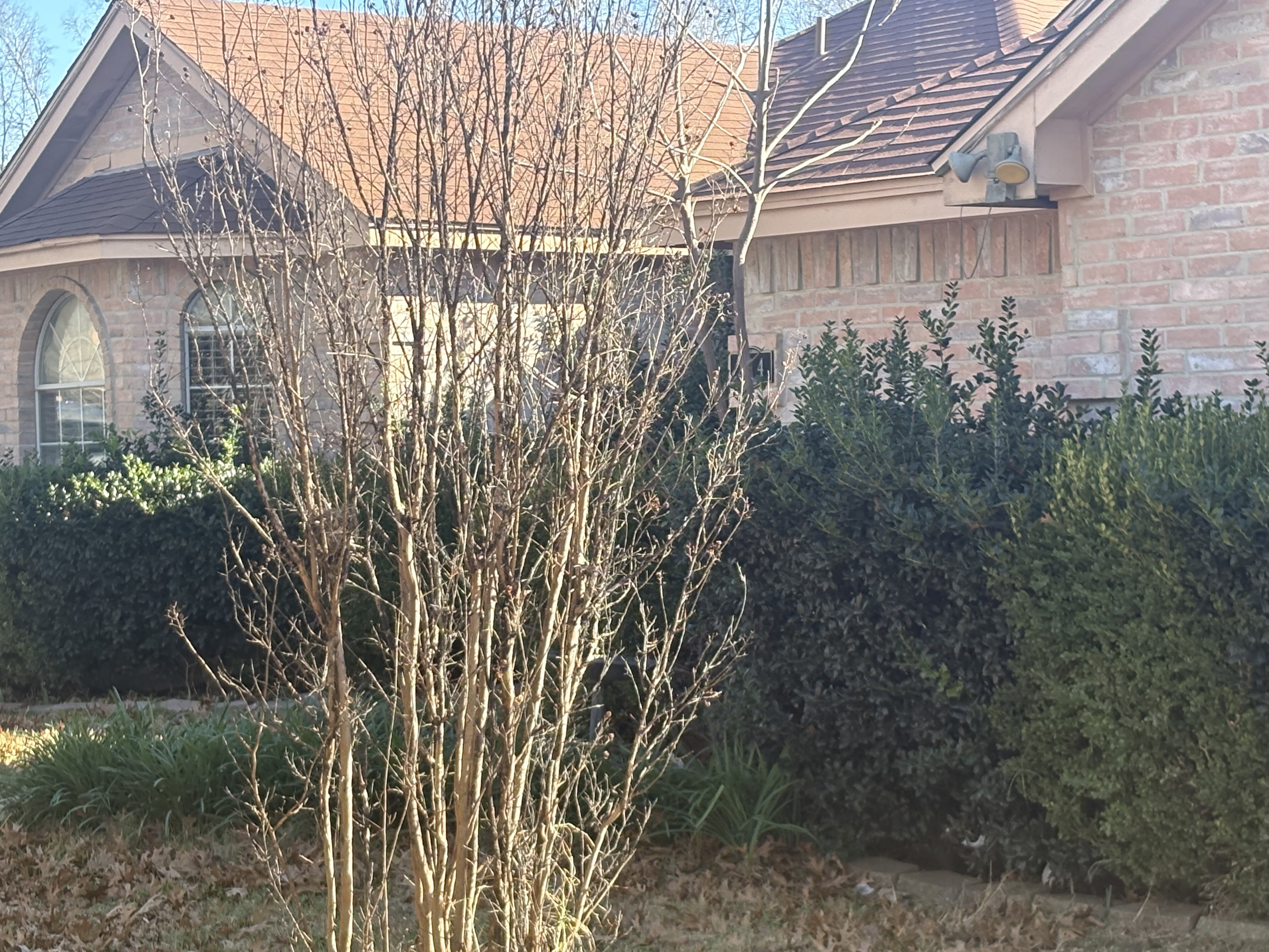 Exterior view of property